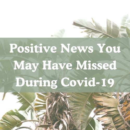 Positive News You May Have Missed During Covid-19
