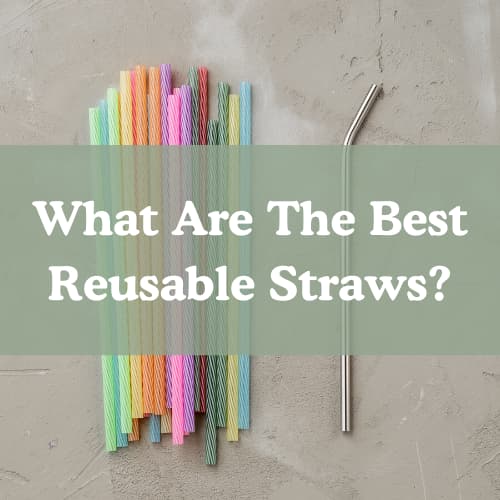 Reusable Straws: Bamboo, Stainless Steel and others