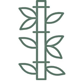 green icon of bamboo representing made from bamboo