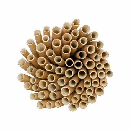 Engraved Bamboo Straws in Bulk Personalised Reusable Straws