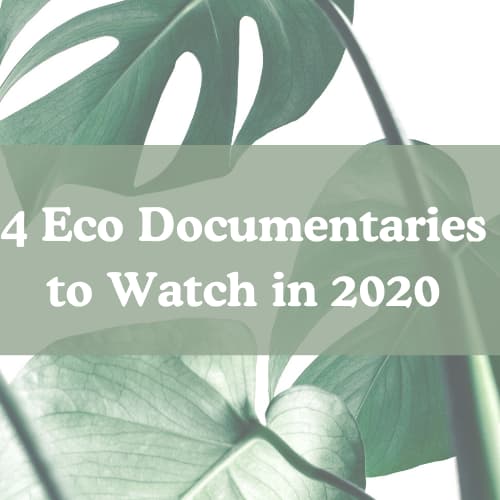 4 Eco Documentaries to Watch in 2020