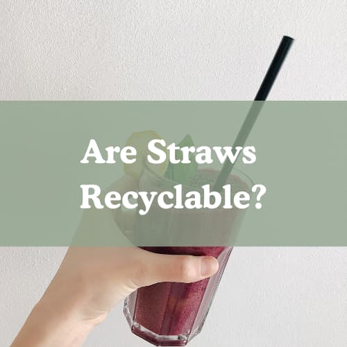 Are Straws Recyclable?