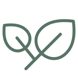 icon of a leave representing ethically sourced products