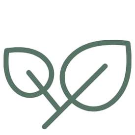 green icon of leaves