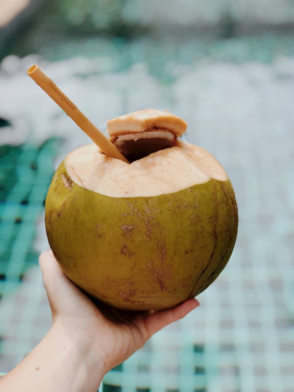 bamboo straw in a coconut