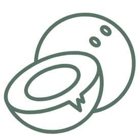 icon of coconut shells
